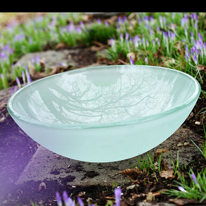 10-124 B Arsumo Frosted Circular Glass Vessel Sink Combo (with Brushed Nickel Faucet, Pop-up Drain and Mount Ring)